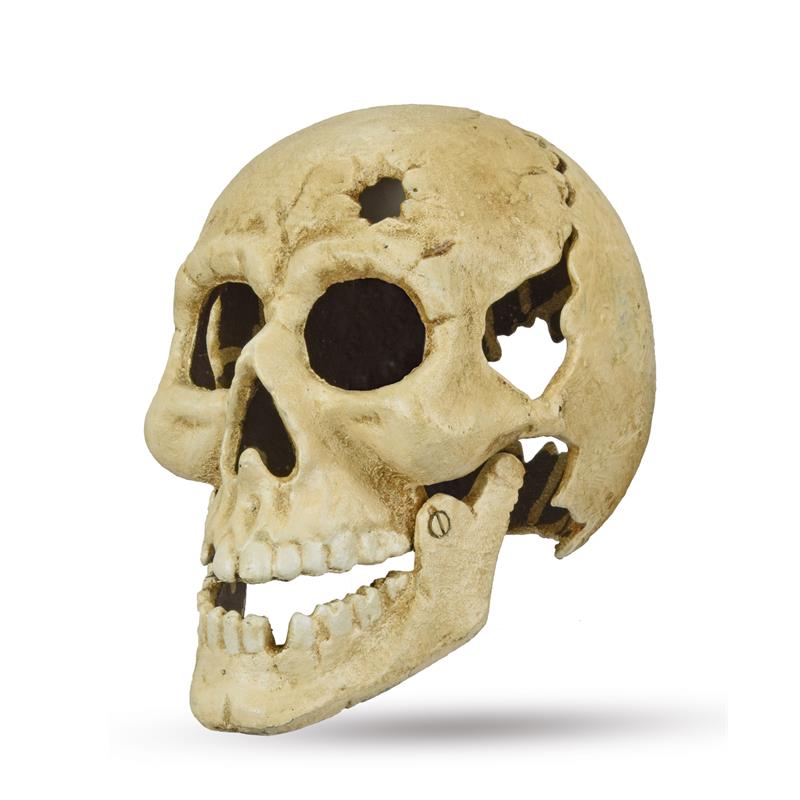 A\u0020WHITE\u0020CAST\u0020IRON\u0020SKULL