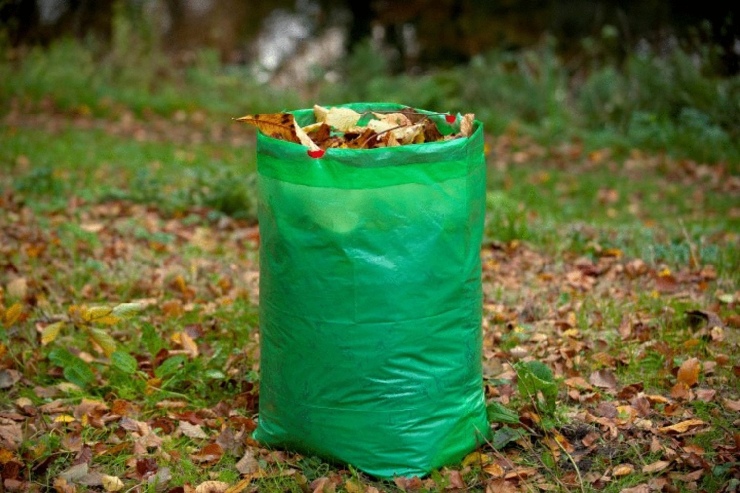Tuinafvalzak\u0020\u002D\u0020Onderhoud\u002045x45x70\u0020cm\u0020100\u0020Liter\u0020Groen\u0020,\u0020set\u0020van\u00203 Tuinafvalzak\u0020\u002D\u0020Onderhoud\u002045x45x70\u0020cm\u0020100\u0020Liter\u0020Groen\u0020,\u0020set\u0020van\u00203