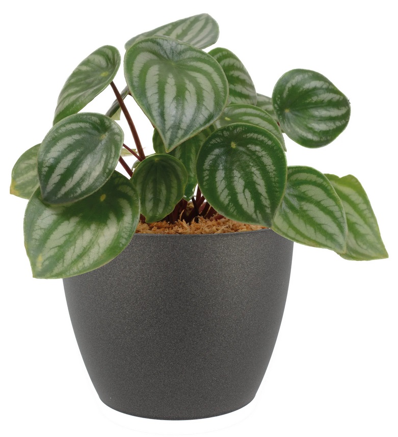 Bloempot\u0020BERLIJN\u0020rond\u002016\u0020cm\u0020Donkergrijs\u0020set\u0020van\u00202\u0020stuks