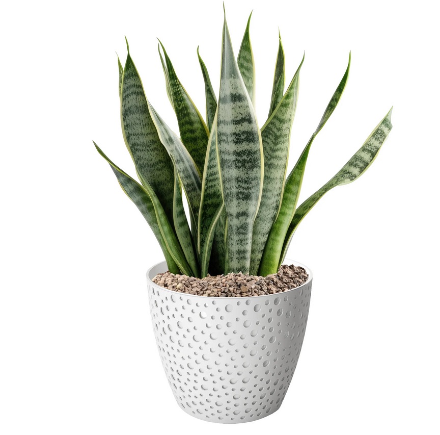 Bloempot\u0020BUBBLE\u0020rond\u002017\u0020cm\u0020Wit\u0020set\u0020van\u00202\u0020stuks