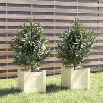  Plantenbakken 2 st 31x31x31 cm massief grenenhout wit