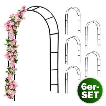Rozenboog Set van 6 Zwart 240x140x37cm