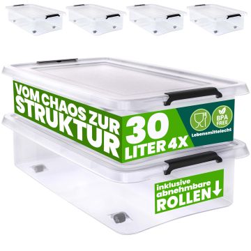 4 Stuk Opbergbox met Deksel Transparant 60x40x17cm 30L