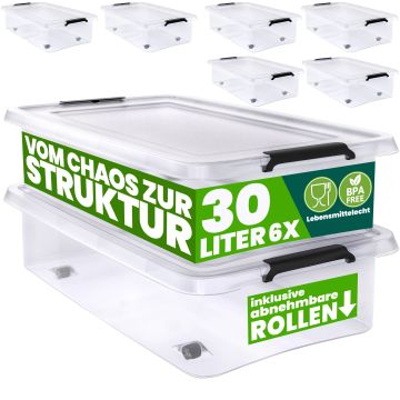 6 Stuk Opbergbox met Deksel Transparant 60x40x17cm 30L