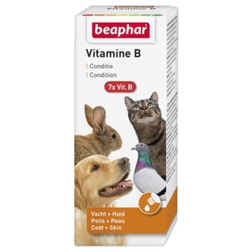 BEAPHAR VITAMINE B 50 ML