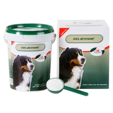 PRIMEVAL GELATINAAT HOND 500 GR