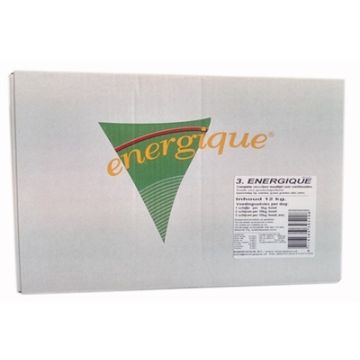 ENERGIQUE NR 3 WERKHOND 12 KG