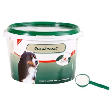 PRIMEVAL GELATINAAT HOND 2 KG