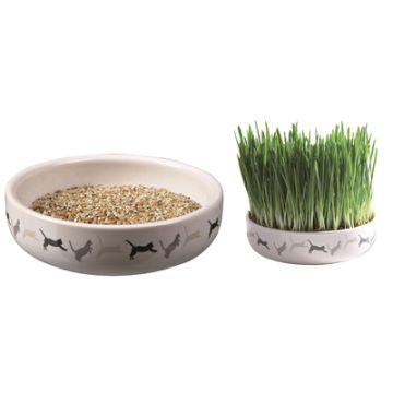 TRIXIE KATTENGRASZAAD 50GR IN KERAMIEK 15X15X4 CM