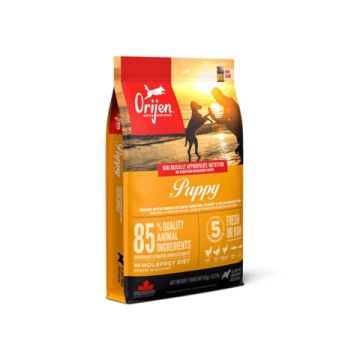 ORIJEN WHOLE PREY PUPPY 6 KG