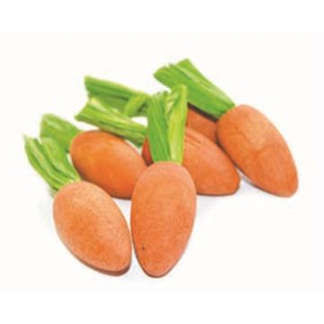 HAPPY PET CARROT NIBBLERS KNAAGHOUT 8X3X3 CM 6 ST
