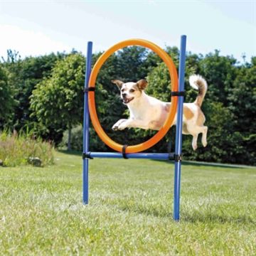TRIXIE DOG ACTIVITY AGILITY RING BLAUW / ORANJE 65X3X115 CM