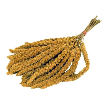 TROSGIERST CHINEES 15 KG