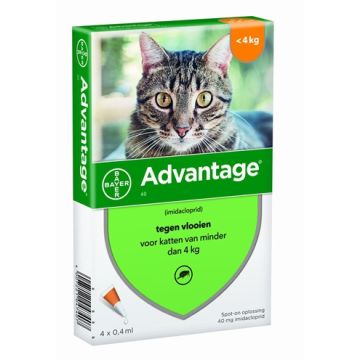 BAYER ADVANTAGE KAT 4 PIPETTEN 40 TOT 4 KG 4 PIP