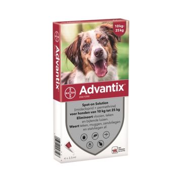 BAYER ADVANTIX SPOT ON 250/1250 10-25 KG - 4 PIP