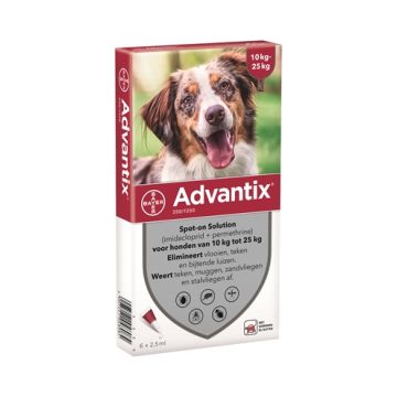 BAYER ADVANTIX SPOT ON 250/1250 10-25 KG - 6 PIP