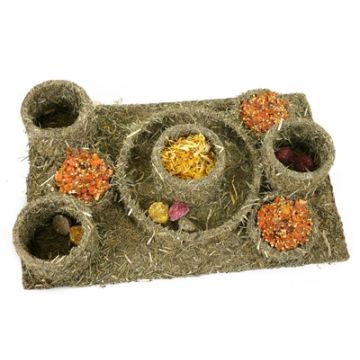 ROSEWOOD NATURALS HIDE N TREAT MAZE 28 X 18 CM