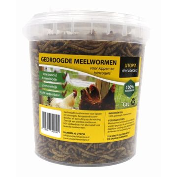 GEDROOGDE MEELWORMEN 1,2 LTR