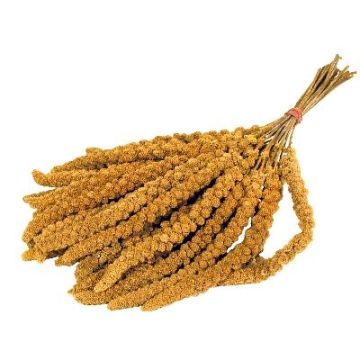 DE VRIES TROSGIERST 1 KG