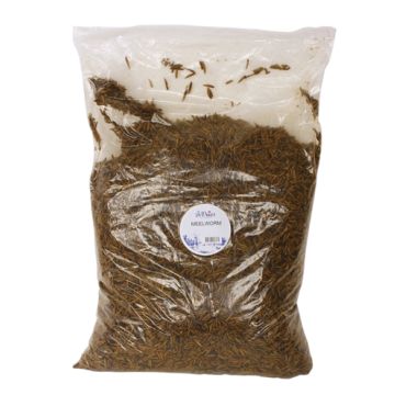 DE VRIES SOLDIER FLY MEELWORM 5 KG
