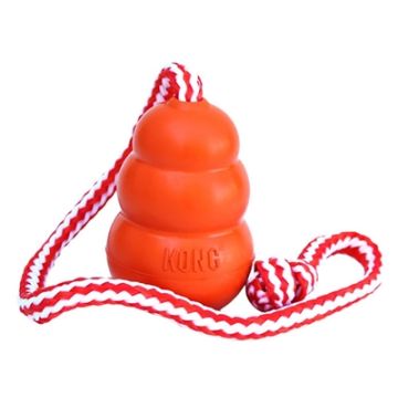 KONG AQUA ORANJE 7X7X10 CM