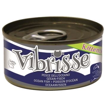 VIBRISSE KITTENS CAT OCEAANVIS 70 GR