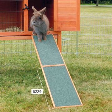 TRIXIE NATURA LOOPPLANK VOOR KOOIEN / HOKKEN 50X20 CM