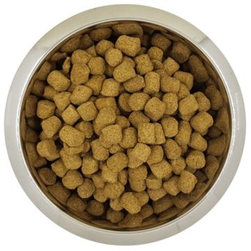 YOURDOG KONINGSPOEDEL VOLWASSEN 12 KG