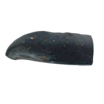 PETSNACK T-REX GROOT 19-22 CM