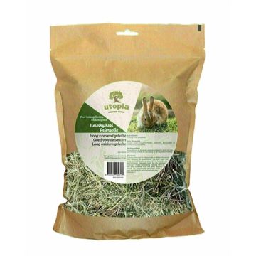 UTOPIA TIMOTHY HOOI MET PETERSELIE 450 GR