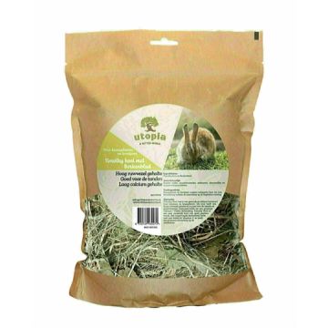 UTOPIA TIMOTHY HOOI MET BERKENBLAD 450 GR