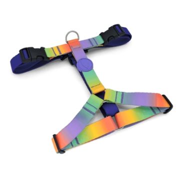 MORSO HONDENTUIG H-TUIG GERECYCLED SPRING BLOSSOM 40-55X1,5 CM