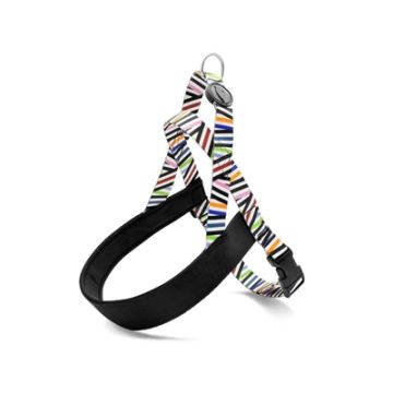 MORSO NORWEGIAN HONDENTUIG GERECYCLED SPAGHETTI INCIDENT 69-86X63 CM