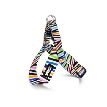 MORSO MINI HONDENTUIG VERSTELBAAR GERECYCLED SPAGHETTI INCIDENT 32-41X2,5 CM