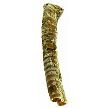 PETSNACK LUCHTPIJP 2,5 KG