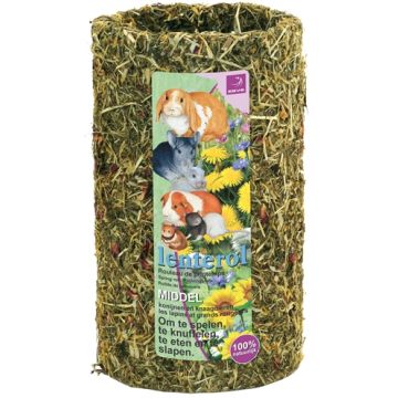ESVE LENTEROL MEDIUM 25 CM