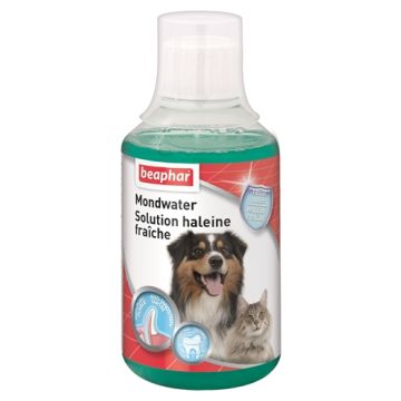 BEAPHAR MONDWATER 250 ML