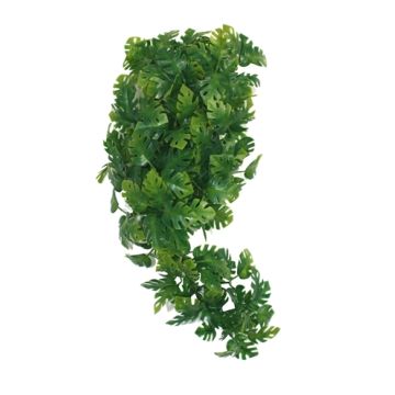 KOMODO PLANT SPLIT PHILODENDRON 30 CM
