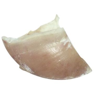 DOGSTAR KALFSHOEVEN GROOT 100 ST