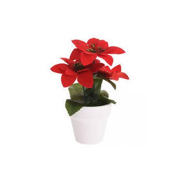 Kerstplant Rood Pot Keramiek