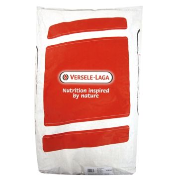 ZONNEBLOEMPITTEN GESTREEPT 12,5 KG