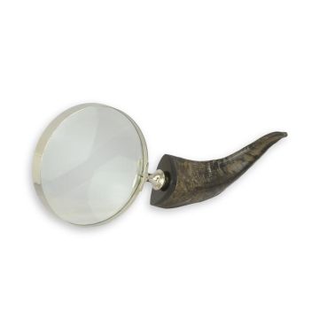 A MAGNIFYING-GLASS