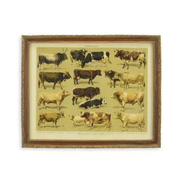 A FRAMED PRINT - ASSORTI