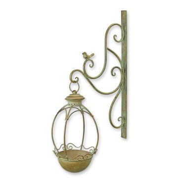 A WALL MOUNT BIRD FEEDER