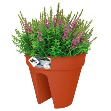 Bloembak Terrakotta 28,5x25,5cm