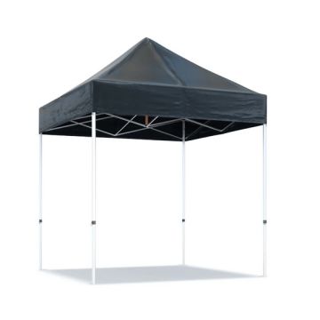 Easy up Professional Partytent 2x2m PVC gecoat polyester, kies je kleur