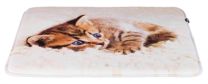 TRIXIE LIGMAT KAT TILLY BEIGE 50X40 CM 2 ST