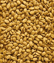 NUTRIBIRD P15 ORIGINAL ONDERHOUDSVOEDER 10 KG