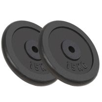  Halterschijven 30 kg gietijzer 2 st