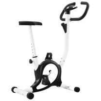  Hometrainer met bandweerstand zwart